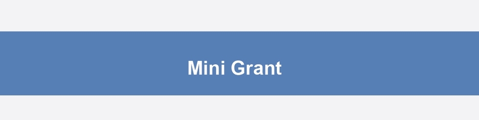 Mini-Grant